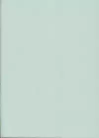 (COMITIA88) [Raiden Labo (Raiden)] Peperoncino