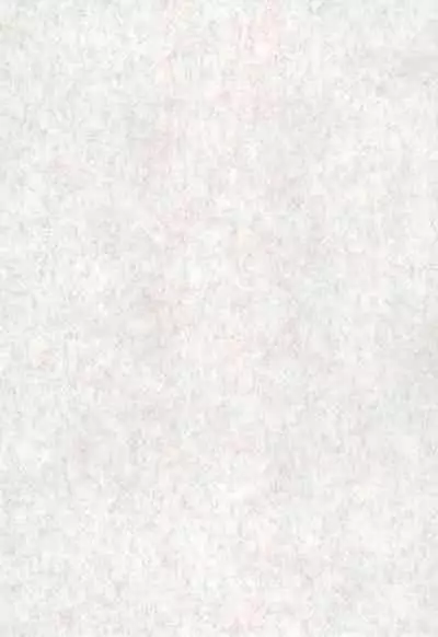 Fiance Tsuushin 2006 - Fuyu no Gou