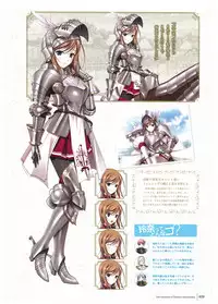 Walkure Romanze Visual Fan Book