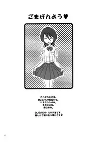 (CR31) [NIKOPONDO (Aoyama Reo)] GRATEFUL DEAD (BLEACH)