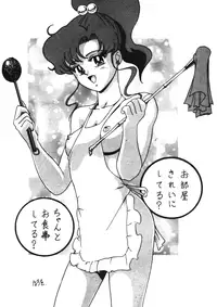 Sailor X Volume 1 (Sailor Moon)