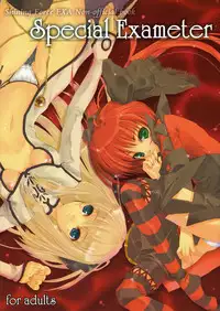 (C72) [Dendou Kodomo. (Kaname Arata)] Special Exameter (Shining Force EXA)