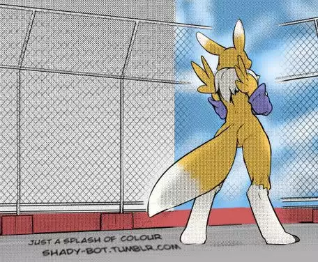 Minna no Renamon | Renamon Para Todos Vol 1
