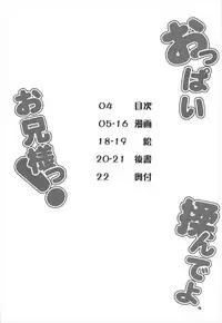 (C92) [Angelic Feather (Land Sale)] Oppai Monde yo Onii-sama! (Touhou Project)