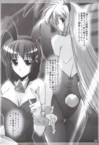 (C79) [WARP Co (45ACP)] Captive Rabbitl (Mahou Shoujo Lyrical Nanoha)
