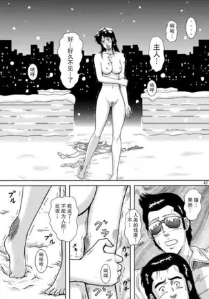 NIGHTFLY vol.10 PLEASE COME HOME for X'mas