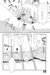 (CR27) [PHOENIX PROJECT (Various)] Okosama Lunch 4 (Various)