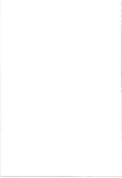 Wandering In The World 3