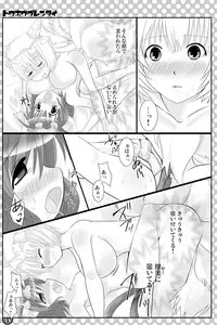 [にゃー。とひだまり] 東方にゃんにゃんパックVol.1