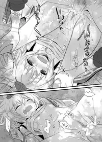 [Ningen Modoki (Random)] Hatsujou Momiji (Touhou Project) [Digital]