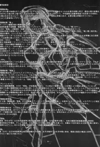 (C80) [MISS BLACK OFFLINE (MISS BLACK)] Sentou Yousei Shoujo Kaya <Kai> [Chinese] [沒有漢化]