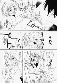 [Akutagawa Yoshizumi] Inran Kansengen