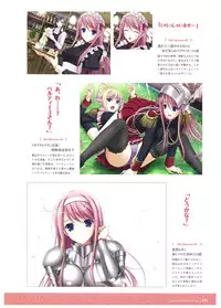 Walkure Romanze Visual Fan Book