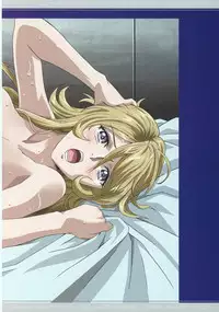 (C89) [HENREIKAI (Kawarajima Koh)] Tone Extra Heroine's Compilation File (Various)