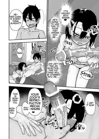 [Niramikko Koujou] Otouto de Otoko o Shirimashita [English][Secluded]