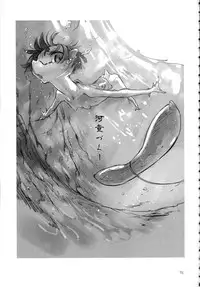 (C89) [SHIS (Z-ton)] A Beautiful Greed Z-ton Jingai Soushuuhen