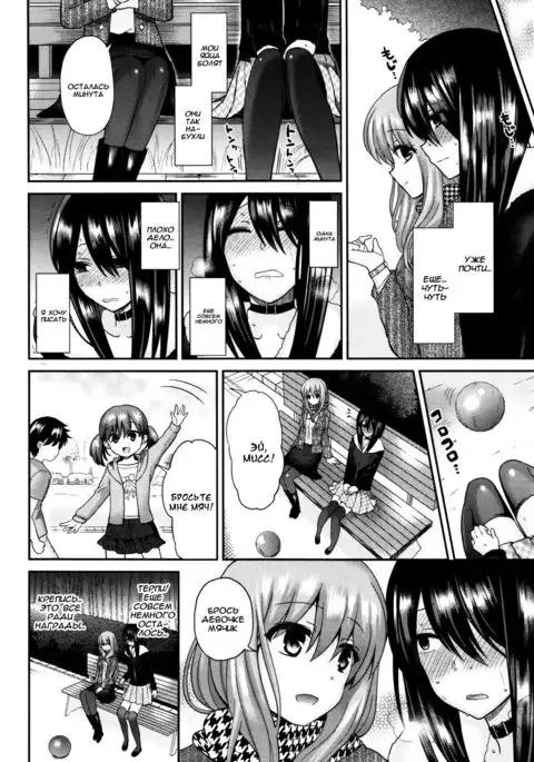 Domestic Dog | Домашняя Собаука