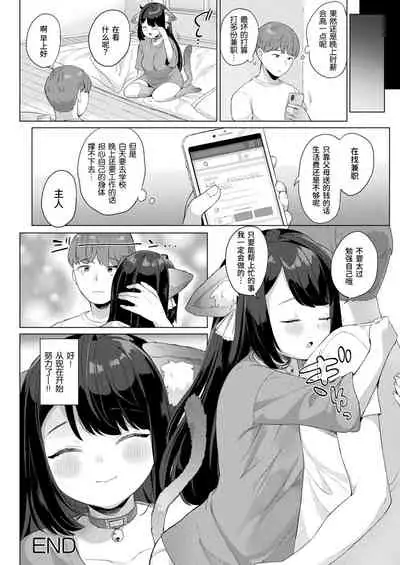 Sute neko konshasunesu