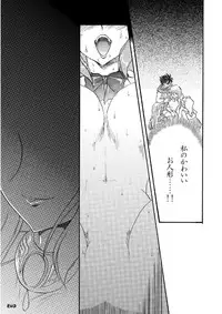 (COMIC1☆5) [Shoutai Humei (hiro, shiver)] Lenna in Interstice of Dark Dimension