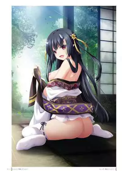 Kami No Rhapsody Perfect Guidebook