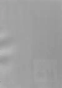 (C90) [Marshmallow Kyoudan (Tenkawa Ai)] Uruwashi no Tinker Bell 7