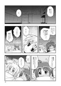 (C78) [RUBBISH Selecting Squad (Namonashi)] RE 11 (Mahou Shoujo Lyrical Nanoha)