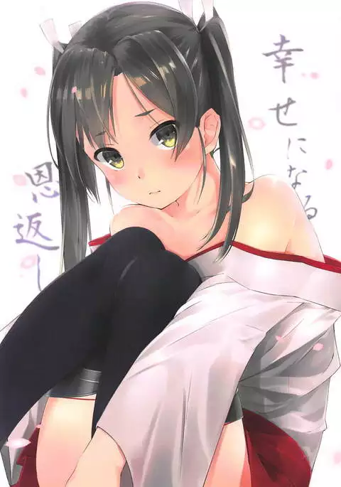 Shiawase ni naru Ongaeshi