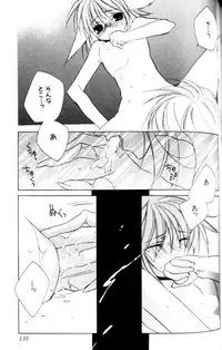 [Sakura Ashika] Bucchoudura ni Koi o Shite