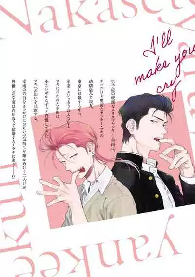 Nakasete Yaru yo Yankee-kun | 让你哭噢小混混 番外