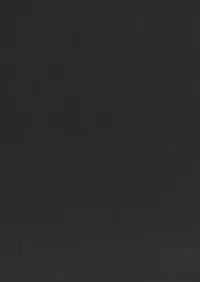 (C80) [TEX-MEX (Red Bear)] GM Rimix