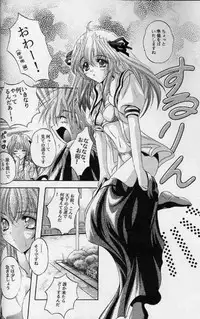 (C60) [SLIME INN (Hayashiya Daizaemon)] LOVE BIRD 2 (Air)