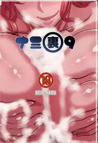 (C87) [ACID-HEAD (Murata.)] Nami no Ura Koukai Nisshi 9 (One Piece)