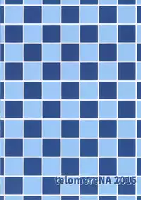 (C88) [telomereNA (Gustav)] Kouiuno ga Sukinan desuka (Granblue Fantasy) [Chinese] [无毒汉化组]