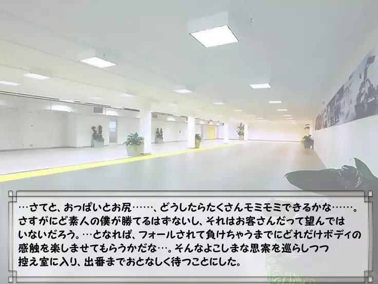 ドMプロレス2 画像集