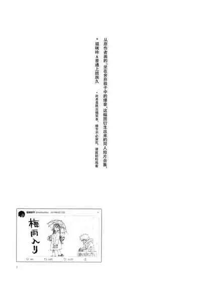 Shèngchū bào māo bǐjìběn