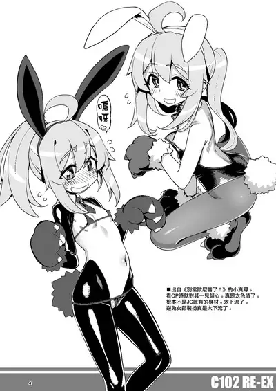 RE-EX Chippai Bunny na Rakugaki Hon