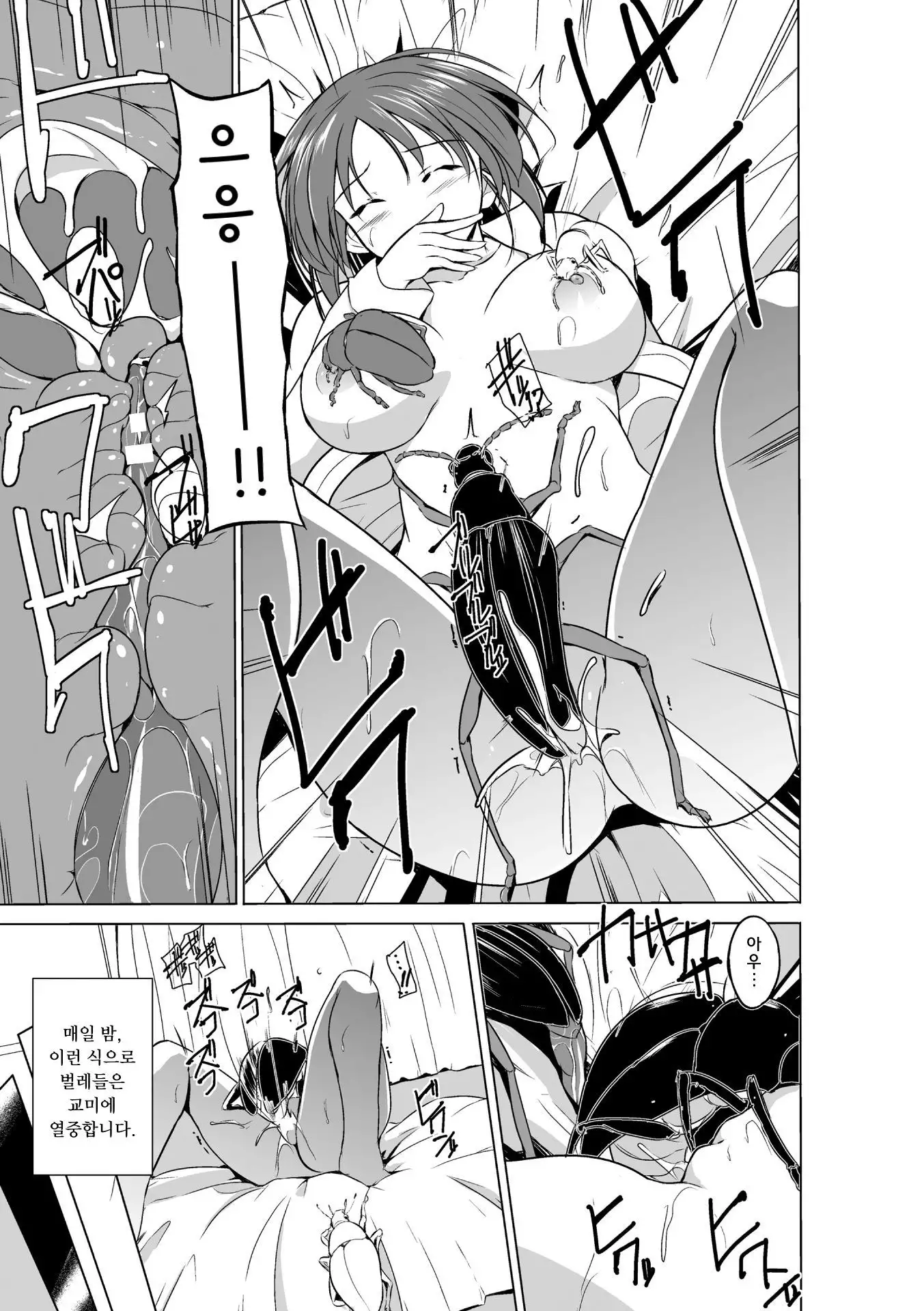 Mushi Asobi | 벌레유희