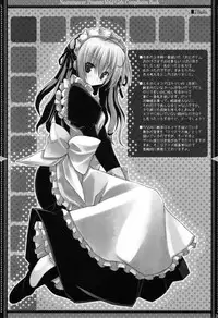 (SC36) [Neuromancer. (Kannon Ouji)] DEVOTION. (Zero no Tsukaima, Suigetsu)