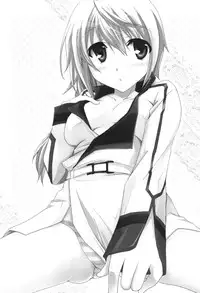 [CHAGASHISAIBAN (Yamabuki Mook)] MINI! (IS: Infinite Stratos) [English] [kibitou4life]
