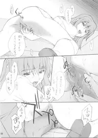 (C68) [P.Forest (Hozumi Takashi)] Shizuru-san to Iroiro (Mai Hime)