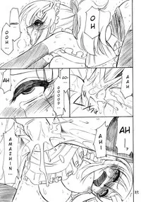 (C71) [EINSATZ GRUPPE (Charlie Nishinaka)] PRISONER 9 Pet (Gundam SEED Destiny) [English] [YQII]