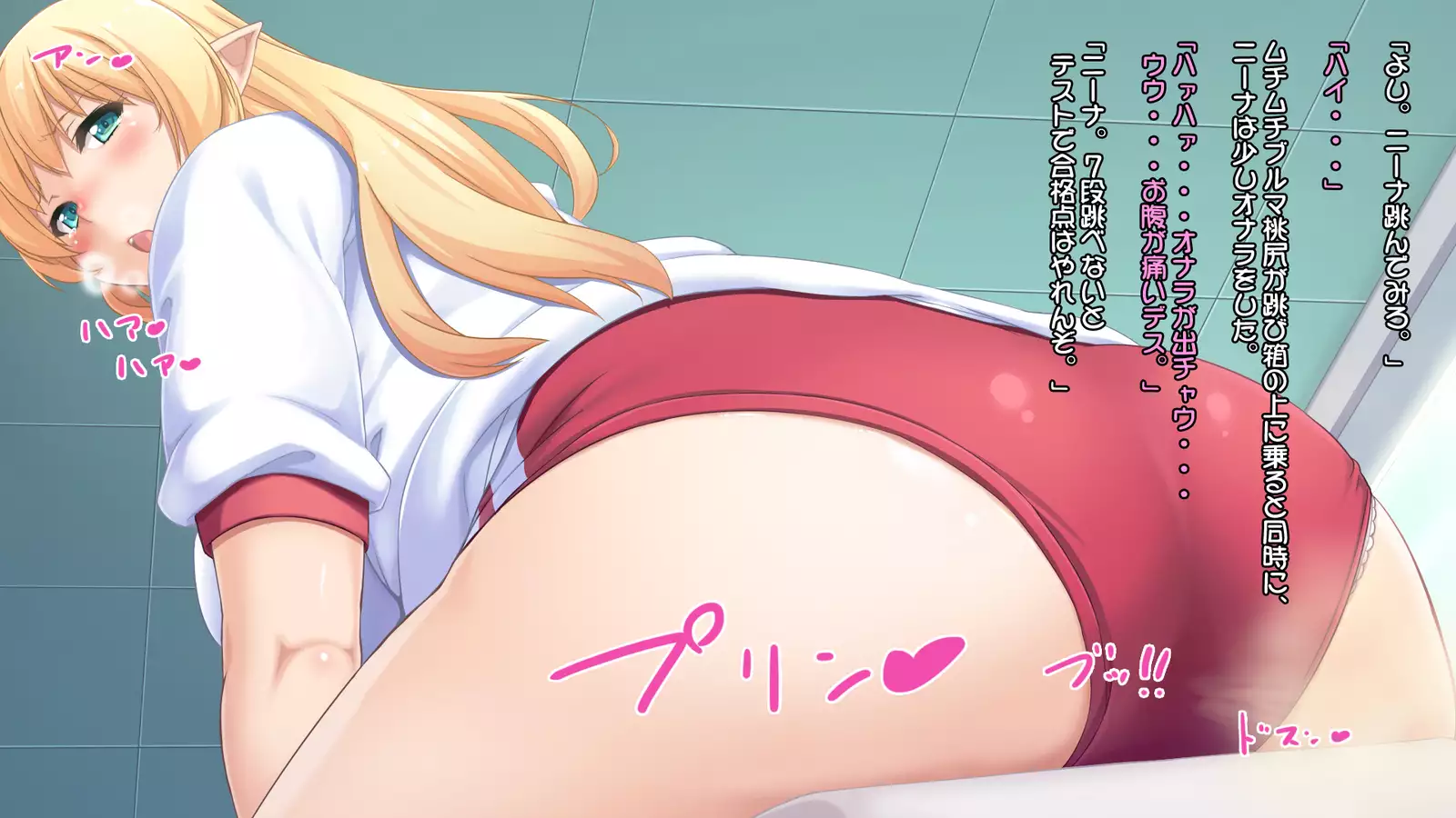 Junshin na Elf no Ryuugakusei ni Anal Choukyo shiyo！