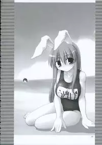 (C69) [Toybox (Jacky, Kurikara)] Inaba Box 2 (Touhou Project) [English] {SaHa}