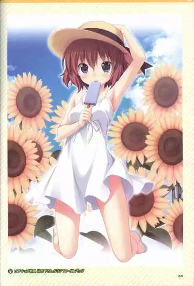 Hare Nochi Kitto Nanohana Biyori Visual Fanbook