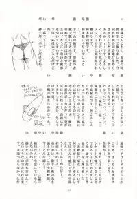 [STUDIO RUNAWAY WOLF (Nakajima Akihiko)] Miko vs Maid No. 4 (Various)