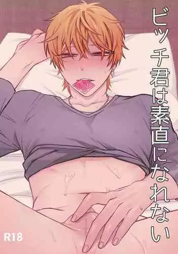 Bitch-kun wa Sunao ni Narenai