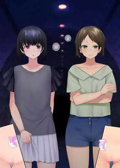 TS "Nyotaika Irekawari" + α Sakuhinshuu | TS "Feminization Body-Swap" + Extra Work Collection