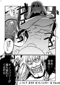 [Hanamo Oukoku (Hanamo Daiou)] Marisa no kinoko kari (Touhou Project)