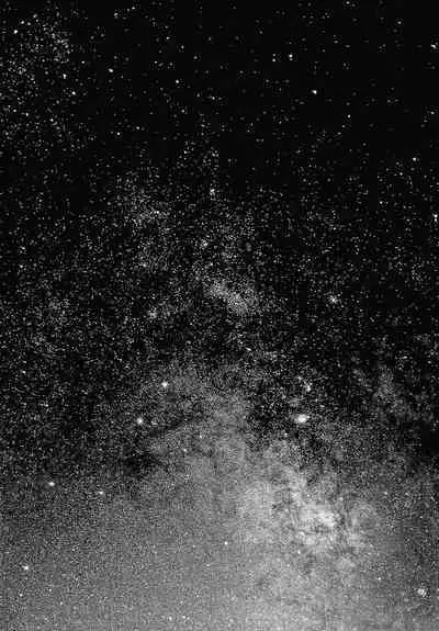 Haramase no Hoshi - STAR OF STALLION