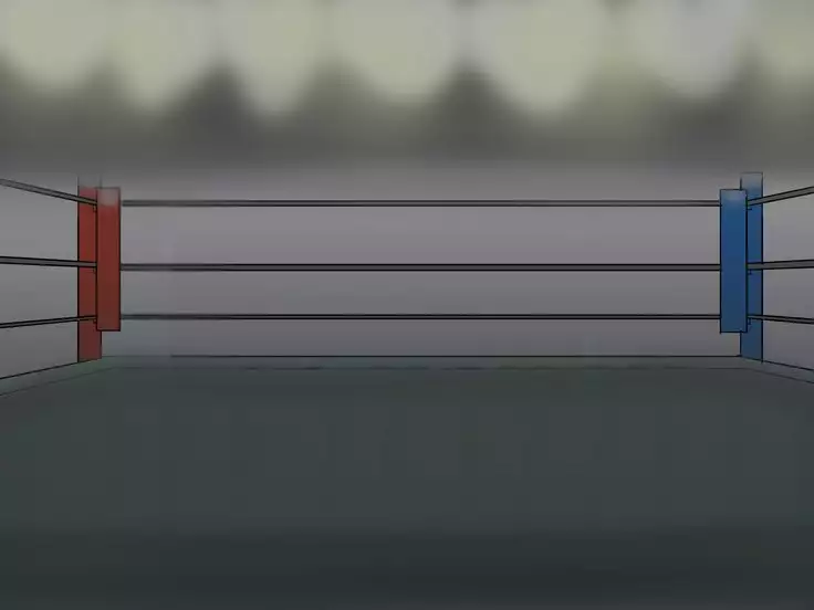 ドMプロレス2 画像集